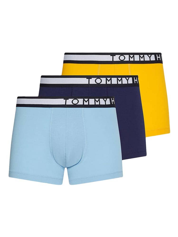 3p Trunk - Statement
